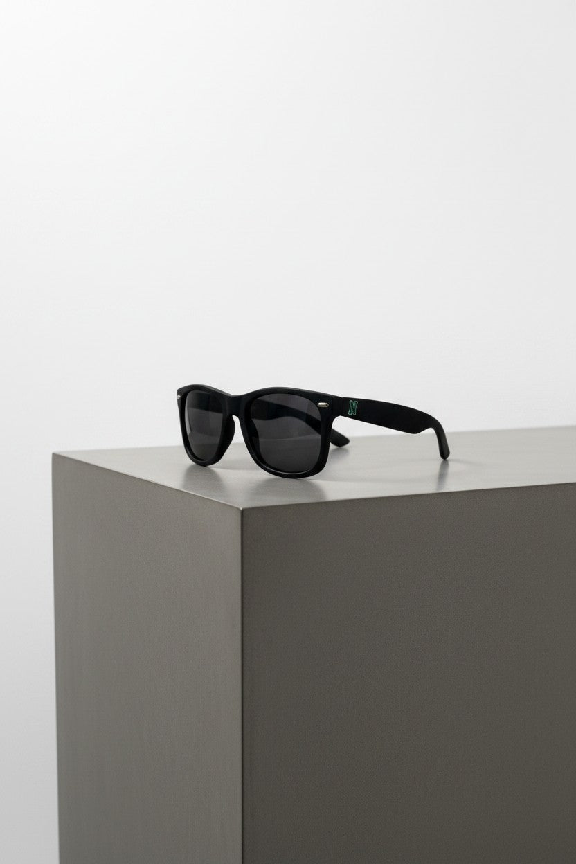 Classic Black Sunglasses