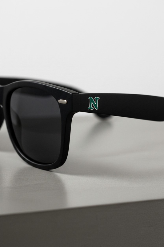 Classic Black Sunglasses